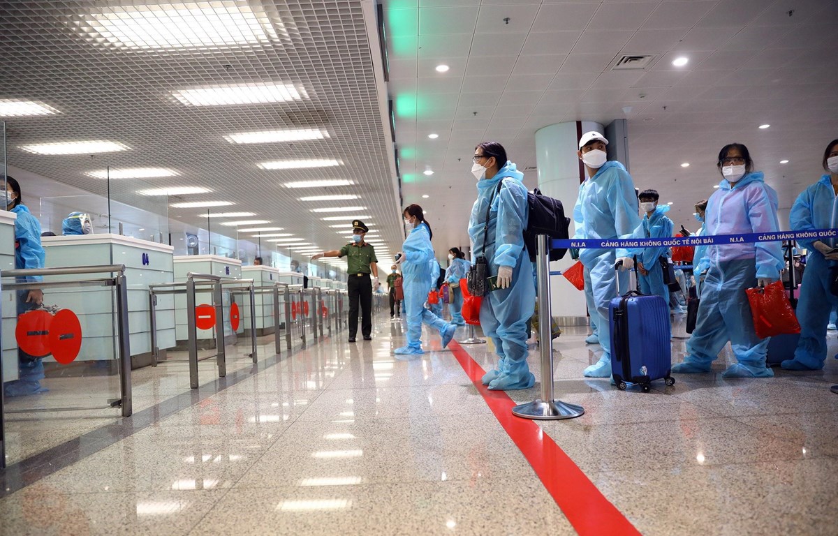 Hướng Dẫn Thủ Tục Nhập Cảnh Việt Nam Mùa Covid Chi Tiết Nhất