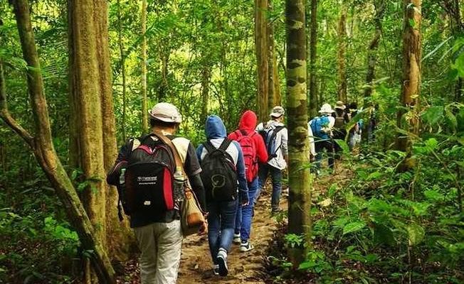 Kinh nghiệm khi bị côn trùng, thú giữ tấn công
