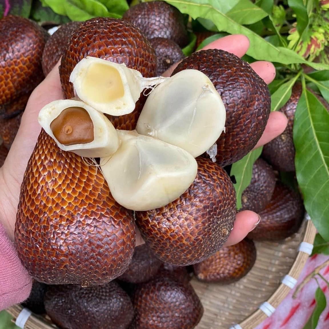 Du lịch miền Tây nên mua gì làm quà Du lịch miền Tây nên mua gì làm quà
